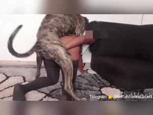 Bestiality sex scene with dog