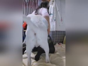 Unique and unseen bestiality videos