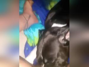 Forbidden Meeting: Woman and Dog