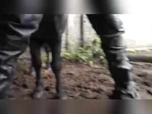 Pferd Befreit Milly Teil 1