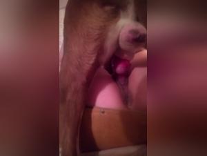 Bestial Experience: Sex with Dog