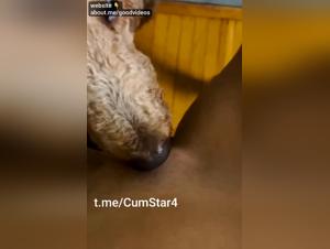 Slut Trains With Her Dog