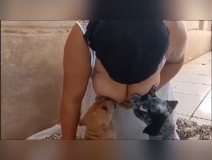 Breastfeeding Dog Puppies 32