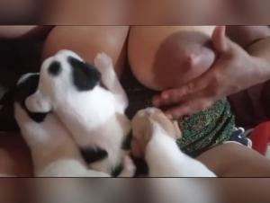 Salope Baise Chien Lactancia