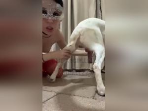 adolescente sature chien sexe
