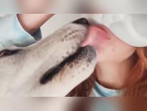 Cat in Action on XVideoZoo