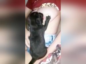 An intimate relationship with a dog