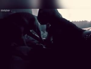 Forbidden Intimacy: A Shocking Bestiality Compilation