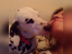 Woman and dog in a bestiality scene