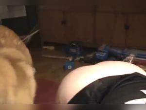 Bestiality videos with dogs and groups