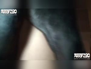 Canine Squirting Compilation - Bestiality Sex Videos with Dogs