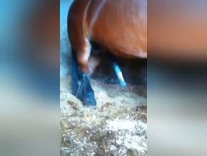 The Best Gay Tube Videos for All