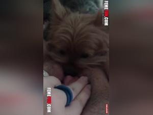 Intense scene of zoophilia with a neighboring dog