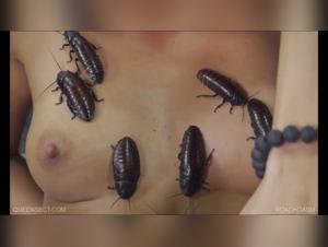 Zoophilia video with cockroaches - A unique bestial experience