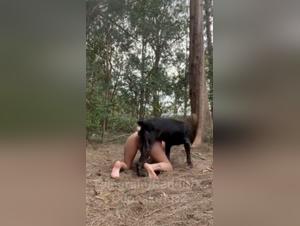tierische lust, ungezügelte befriedigung