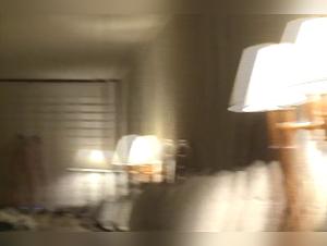 Jill San and Her Adventure with Her Canine Friend