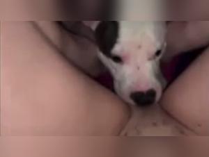 Passionate Encounter: Woman and Dog