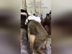 Asian Woman and Her Dog: A Bestiality Sex Video Not to Be Missed