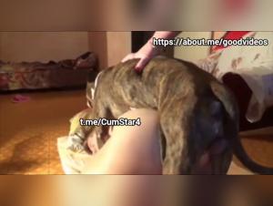 Milly, ligotée et baisée par son chien