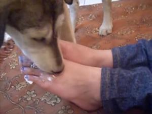 Indian Dog Fuck: Feet Licked, Wild Bestial