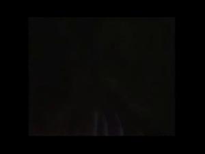 A submissive dog and her canine master: a unique bestial experience