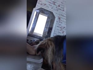 Woman masturbates in front of the mirror, zoophilia dog