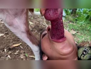 la salope et son chien, baise brute