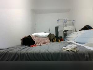 The slut gets her dog in extreme positions