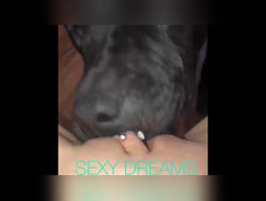bestialidad desenfrenada: sexo con perros prohibido