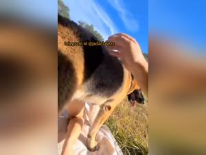 I took it all from the dog as he mounts me from behind in a zoo sex video