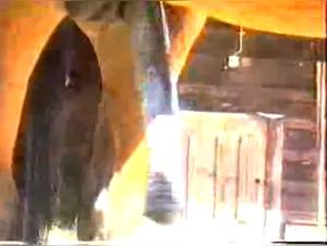 Bestiality: The Virile Horse and the Woman