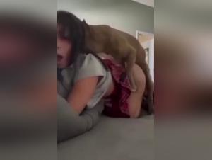 Wild Dog Fuck Girl - Part 1