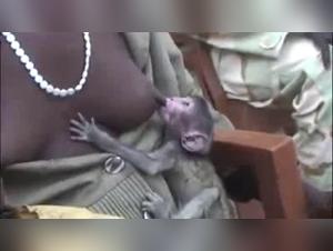 Bestial breastfeeding: a woman and her dog