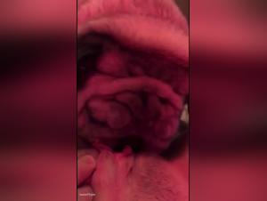 Bestiality sex video: dog licks deep