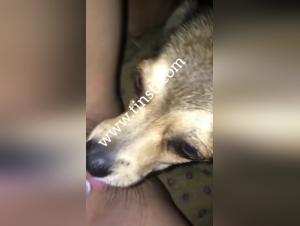 Video: Zoosex - An Extreme and Controversial Experience