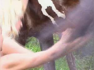 Horse Fuck: Girl Gang-Raped by Stallion Outdoors