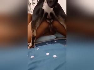 Beyond Morality: Visualizing Beastiality