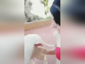 Bestiality sex video with a dog and a young girl