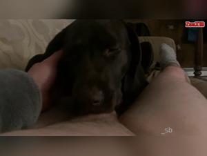 extreme tierdomination