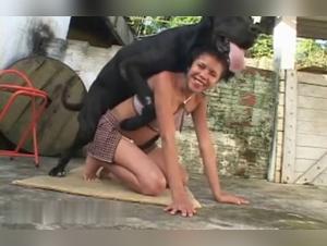 beastiality sites zoo