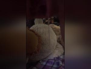 Pussy Cum Dog