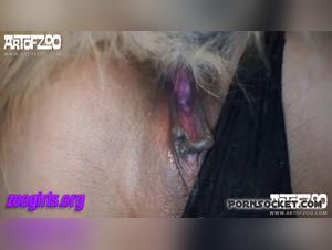 Bestiality: A woman and a dog in a shocking video