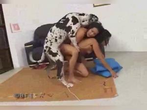 Beastility dog licking girls pussy analysis