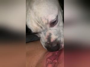 Teenage Girl and Dog: Deep Tongue - Bestiality Video