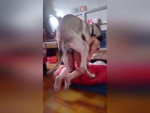 Intimate Video with a Dog