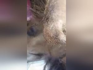 Dog Fucking Woman : Unveiling the Forbidden