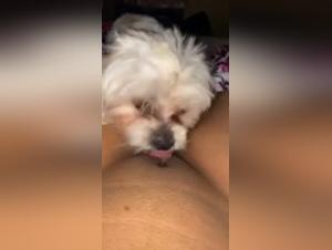 Bestiality: a teenager and her dog