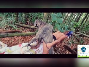 Bestialità con la moglie del cane - Videos di zoofilia su AlisonProd.com