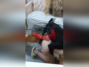 Sex with Dog, Hottest Stories of Women and Dogs Having Sex, Zoophilic Content for All Lovers