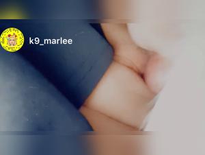 Bestiality sex video: a dominant dog in an amateur video